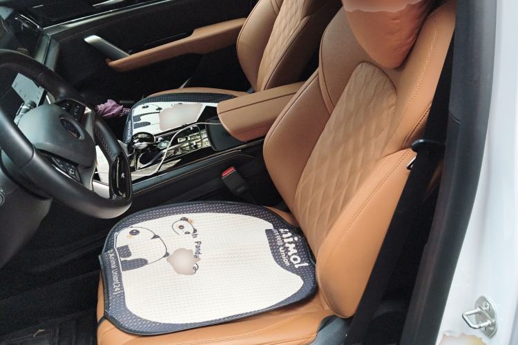 Used BYD Tang New Energy 2023 DM-i Champion Edition 112KM Prestige Model