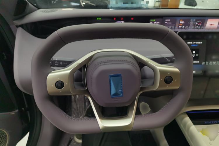 Used  06 2025 Max All-Electric Version
