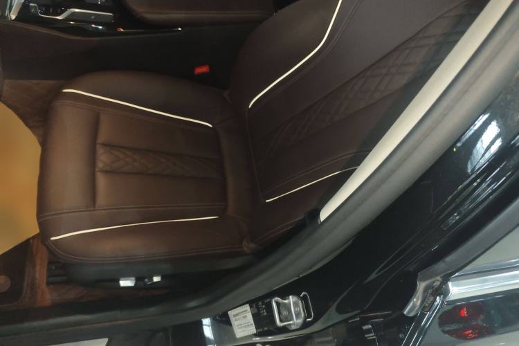 Used BMW 5 Series 2020 530Li Leading Edition Luxury Package
