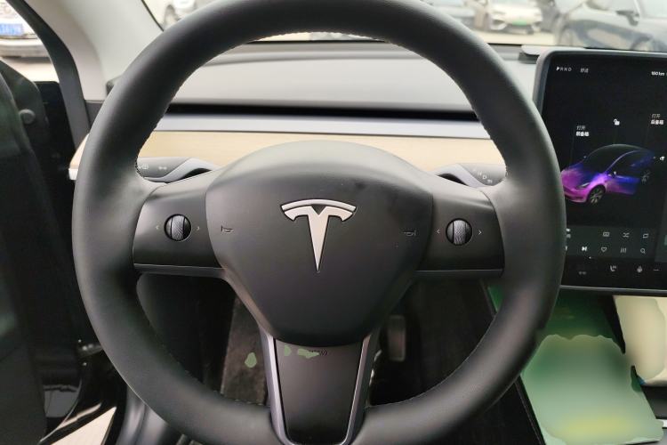 Used Tesla Model Y 2021 Standard Range Rear-Wheel Drive Version
