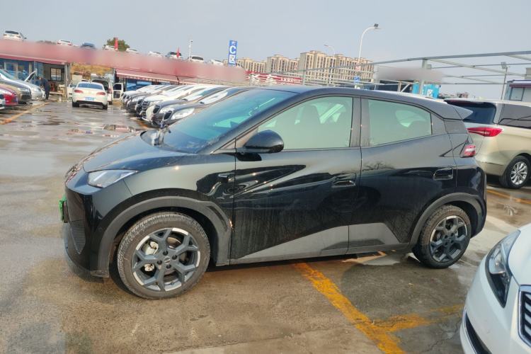 Used BYD Seagull 2025 Smart Drive Version 305 km Freedom Edition
