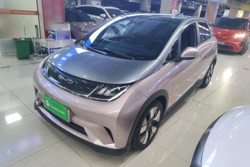 Used BYD Dolphin 2021 401km Knight Edition