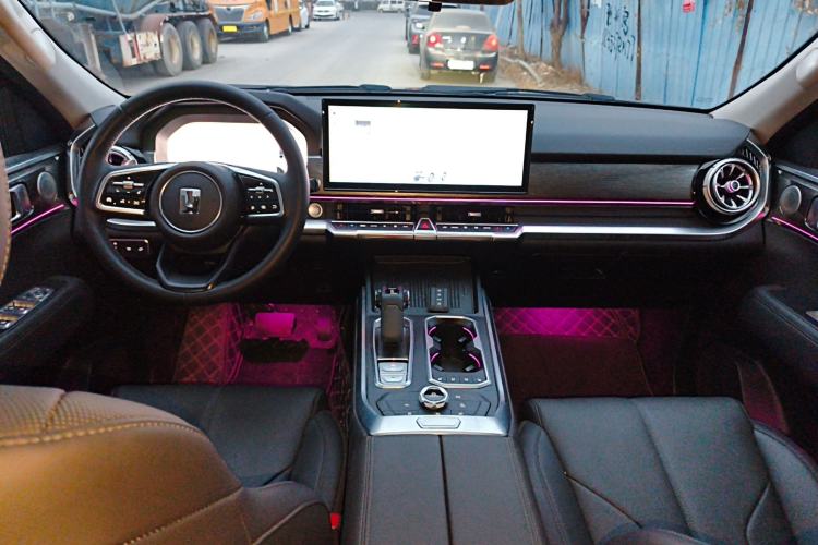 Used Tank 400 2025 2.0T Gasoline Version
