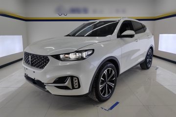 Used Wey VV6 2021 2.0T Two-Wheel Drive Smart Protection+