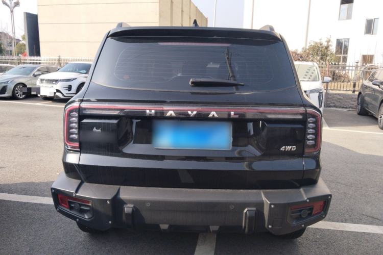Used Haval DARGO 2024 2.0T DCT Chinese Rural Dog Edition
