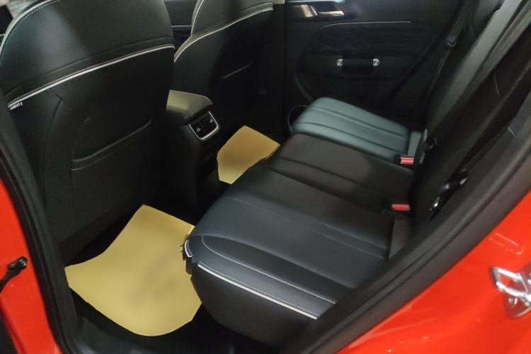 Used Tank 300 2024 2.0T Conqueror