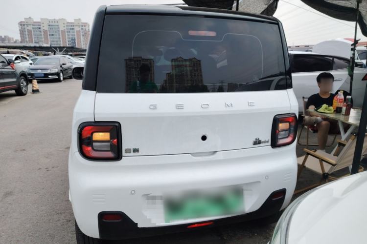 Used  Panda 2023 Panda Mini 200km Endurance Bear
