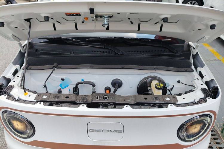 Used  Panda 2024 Panda Mini 200km Endurance Bear
