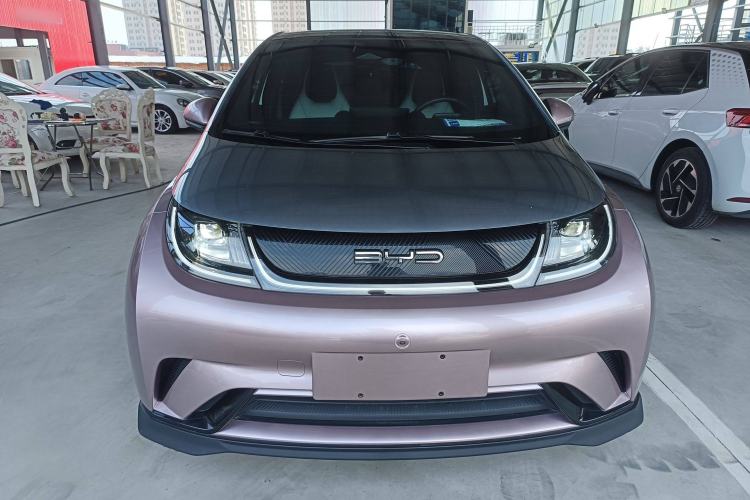Used BYD Dolphin 2021 401km Knight Edition
