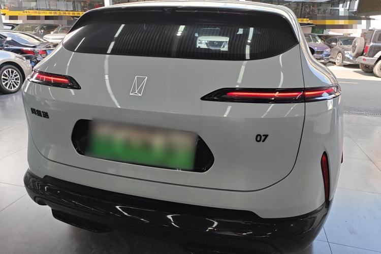 Used  07 2024 Max Extended-Range Edition
