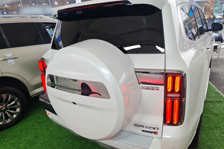 Used Tank 500 New Energy 