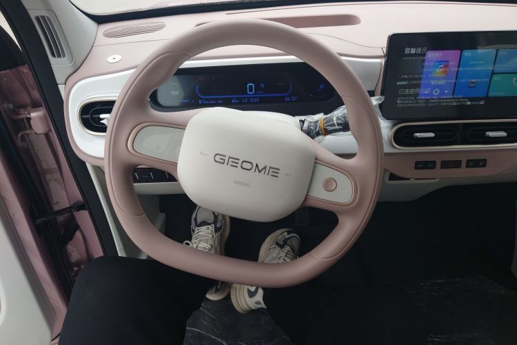 Used  Panda 2025 210 km – Yuanqi Bear