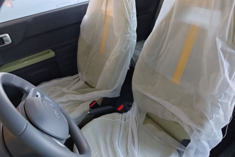 Used  Panda 2024 Panda Mini 200km Endurance Bear