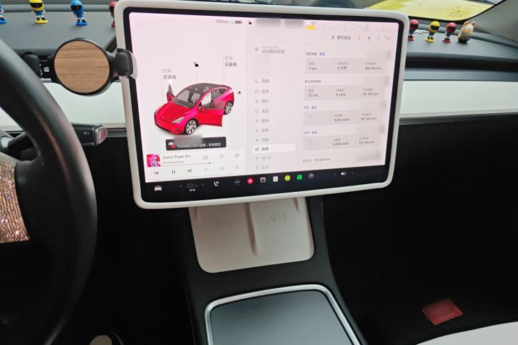 Used Tesla Model Y 2021 Standard Range Rear-Wheel Drive Version
