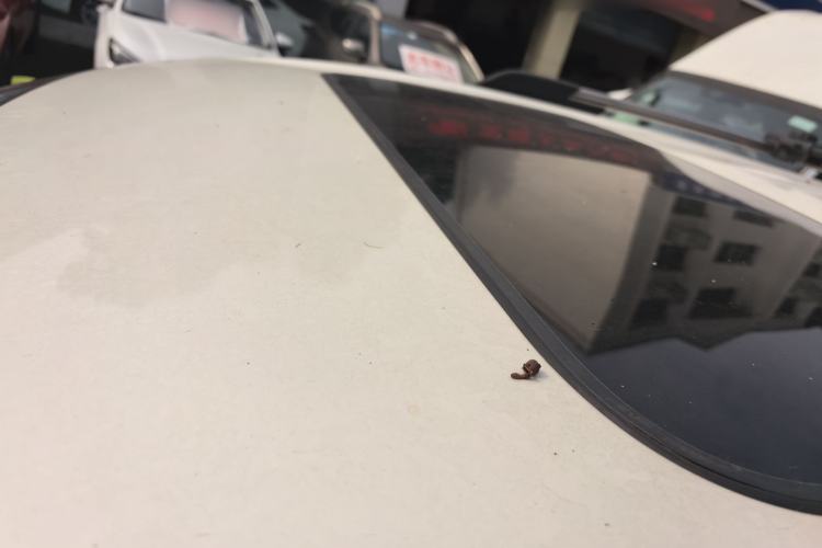 Used Dodge Journey 2013 2.4L Two-Wheel Drive Luxury Version
