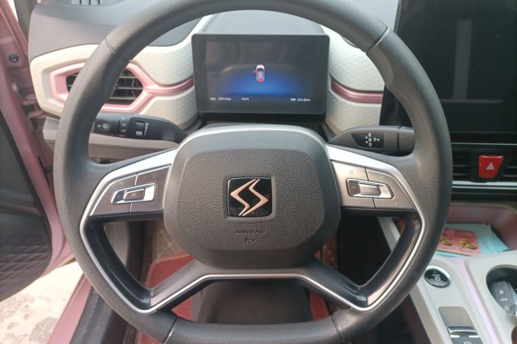 Used SOL E10X 2022 Flower Fairy Design Four-Leaf Clover
