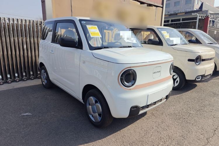 Used  Panda 2024 Panda Mini 200km Endurance Bear