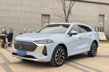 Used Wey Mocha 2021 2.0T Two-Wheel-Drive Premium Edition