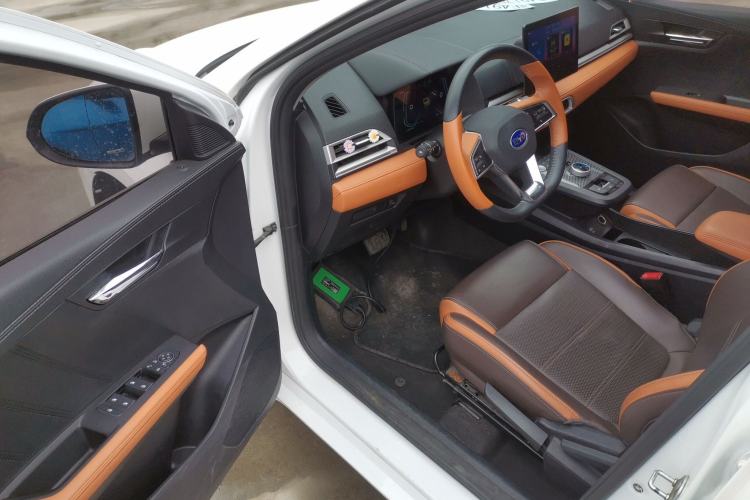 Used BYD e2 2021 Luxury Model