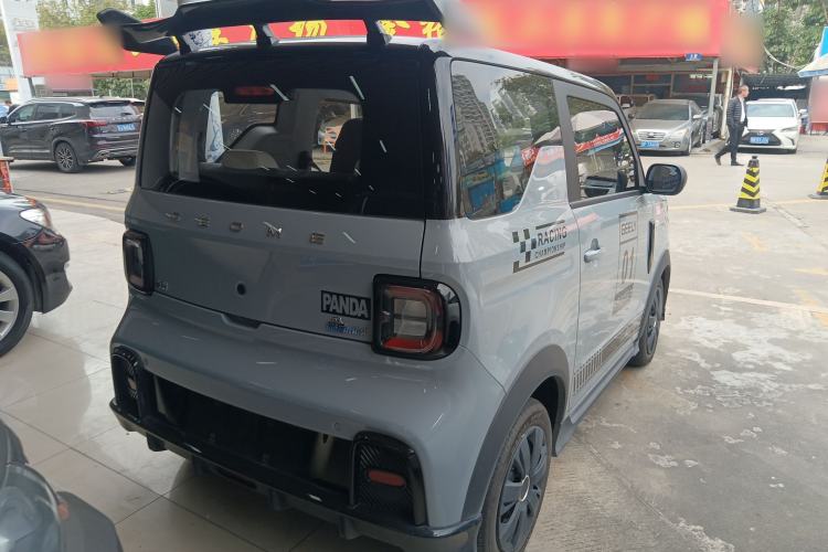 Used  Panda 2024 200km Panda Kart
