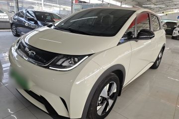 Used BYD Dolphin 2023 420 km Free Version