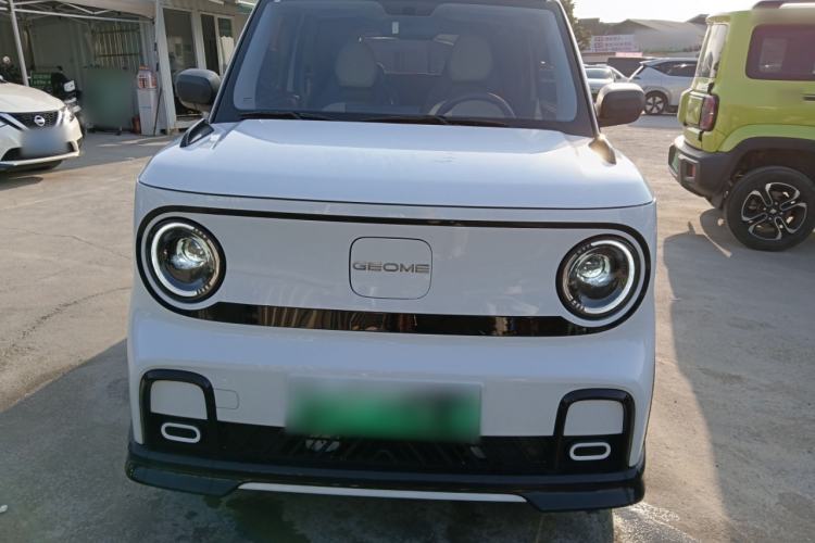 Used  Panda 2024 200km Panda Kart
