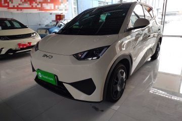 Used BYD Seagull 2025 305km Active Version