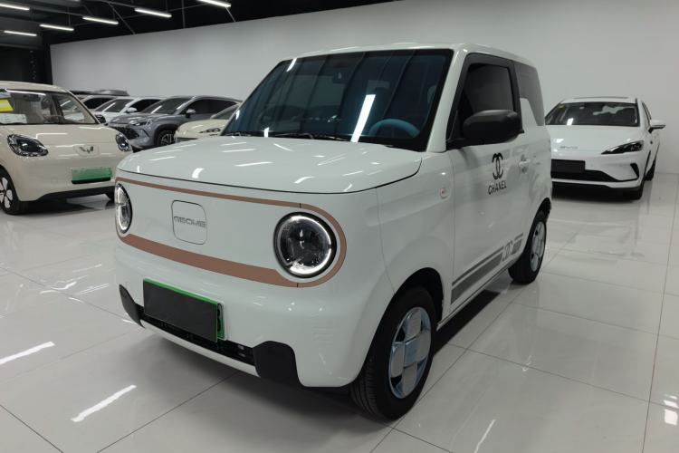 Used  Panda 2024 Panda Mini 200km Endurance Bear
