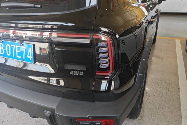 Used Haval DARGO 2024 2.0T DCT Chinese Rural Dog Edition
