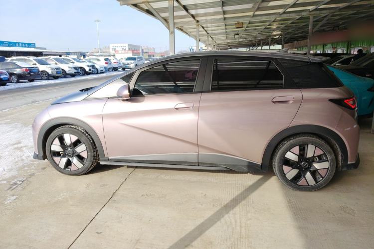 Used BYD Dolphin 2021 401km Knight Edition
