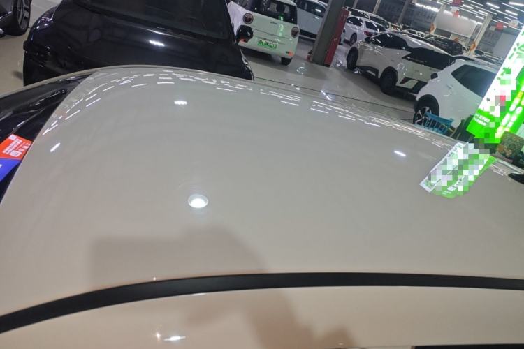 Used ORA Black Cat 2021 301 km Basic Version
