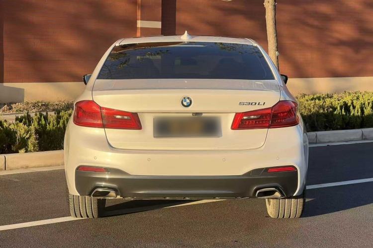 Used BMW 5 Series 2019 530Li Leading Model M Sport Package