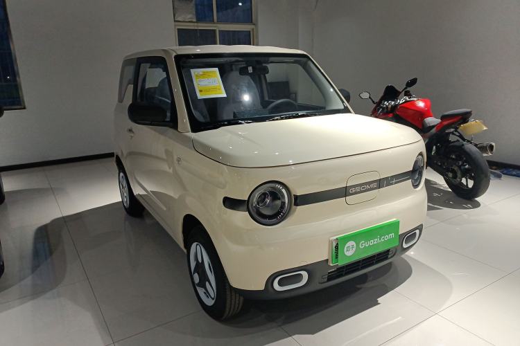 Used  Panda 2025 210 km – Yuanqi Bear