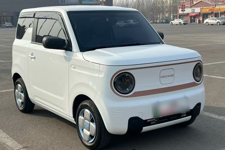 Used  Panda 2024 Panda Mini 200km Endurance Bear