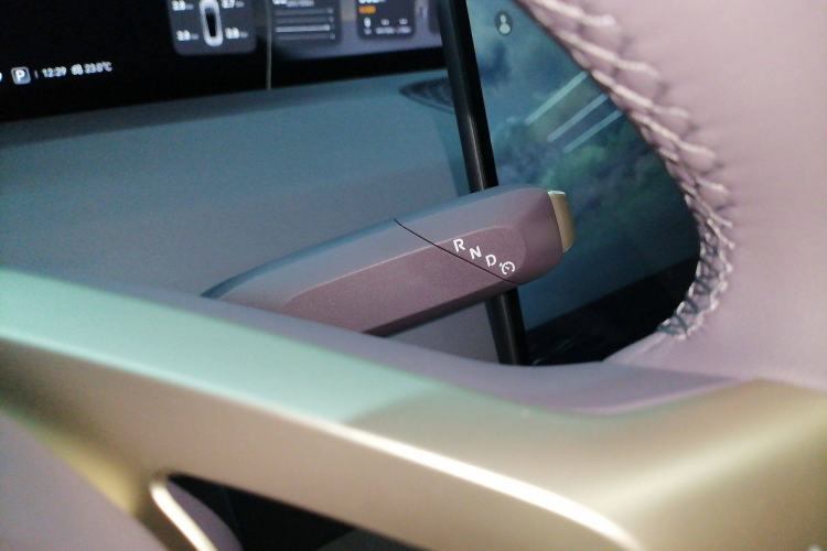 Used  06 2025 Pro Range-Extended Edition
