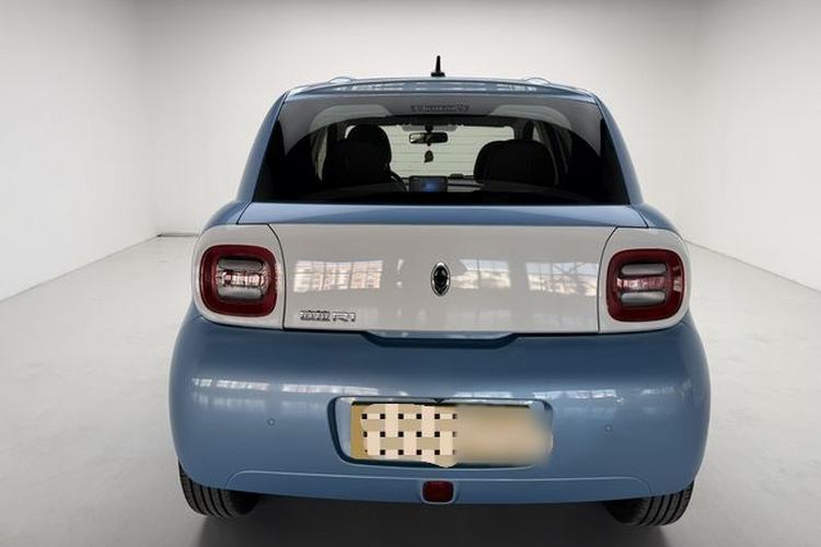 Used ORA Black Cat 2019 351 km Family Edition