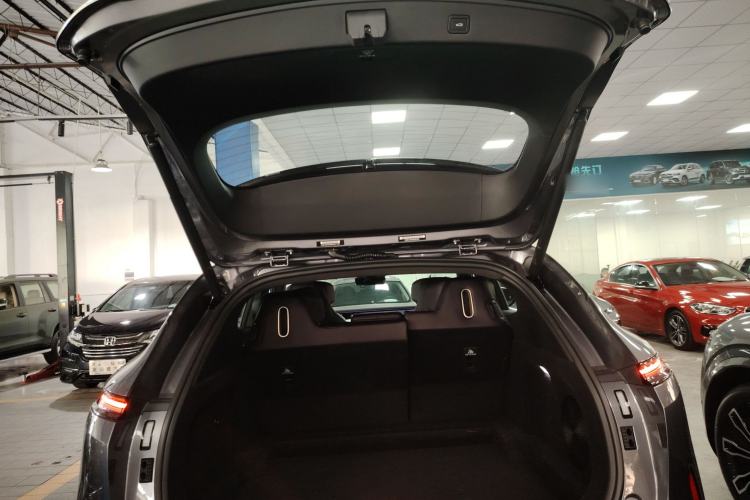 Used  07 2024 Max Extended-Range Edition
