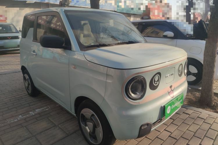 Used  Panda 2023 Panda Mini 200km Dynamic Bear