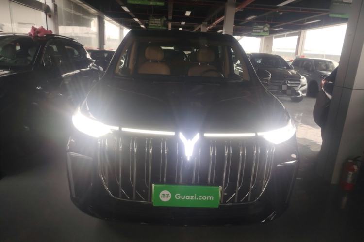 Used VOYAH Dream 2022 Low-Carbon Edition Home