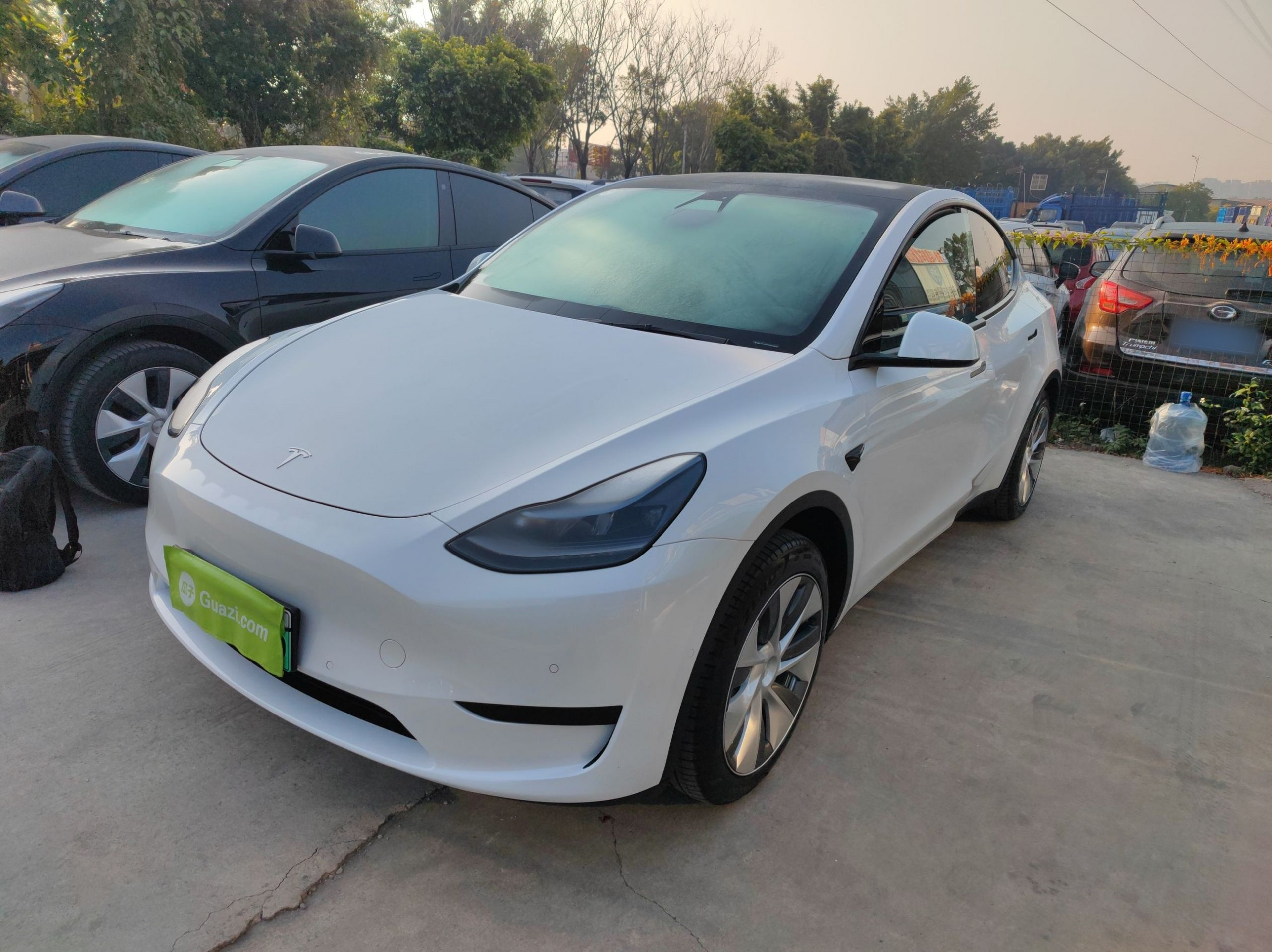 تحت مقدمة السيارة