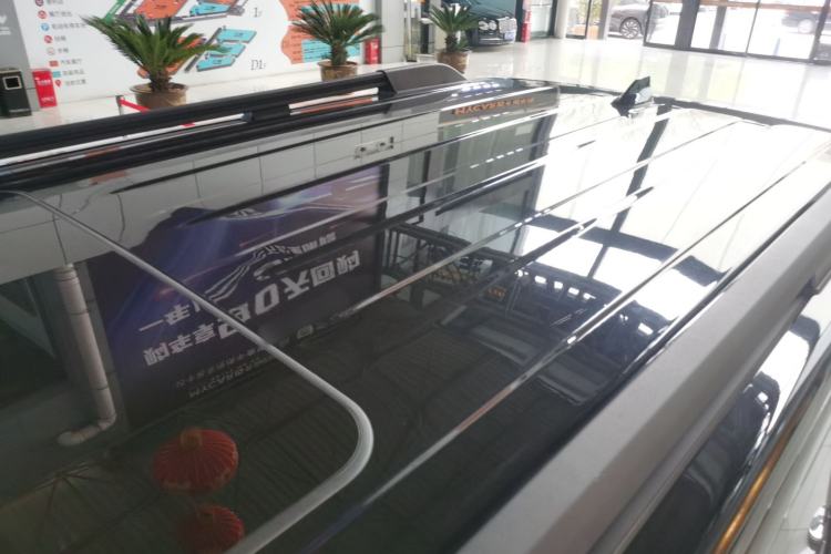 Used Tank 300 2021 Off-Road Edition 2.0T Conqueror