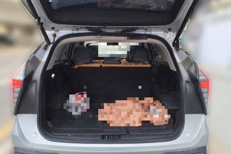 Used Geely Auto FX11 2023 1.5TD DCT Prestige Edition