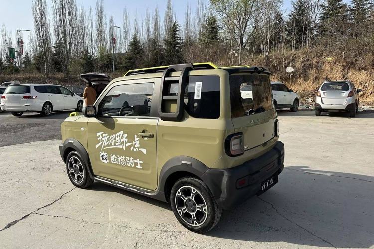 Used  Panda 2024 200km Panda Rider
