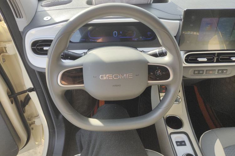 Used  Panda 2025 210 km – Yuanqi Bear
