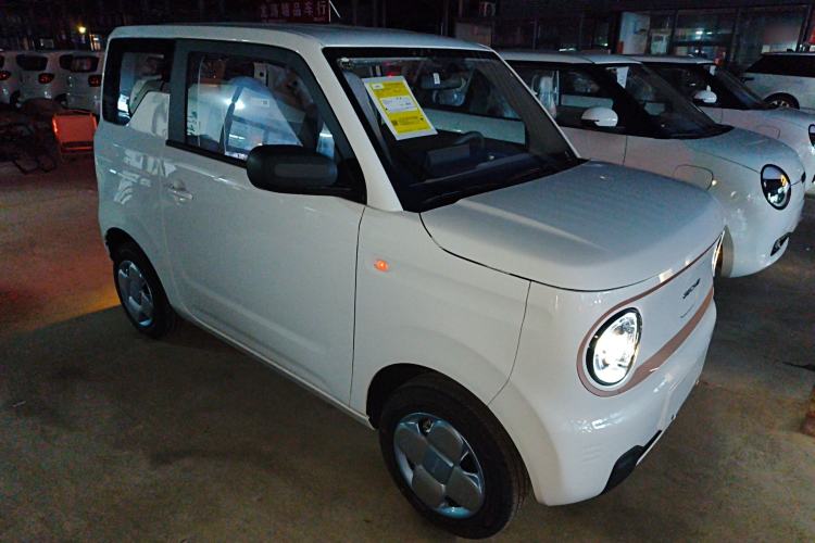 Used  Panda 2024 Panda Mini 200km Endurance Bear