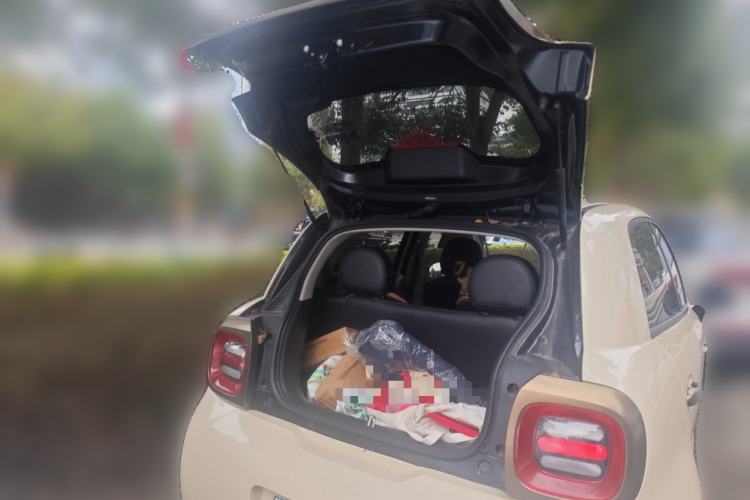 Used ORA Black Cat 2021 351 km Luxury Version
