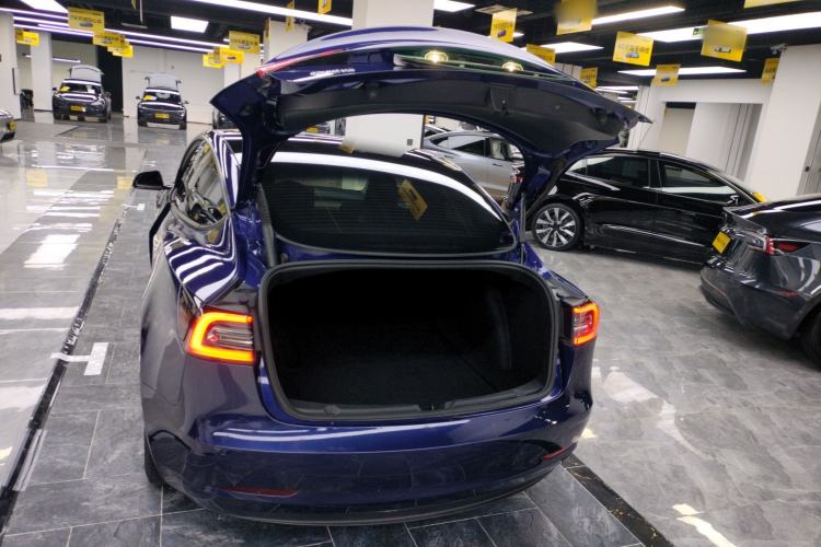 Used Tesla Model 3 2021 Standard Range Rear-Drive Upgraded Version
