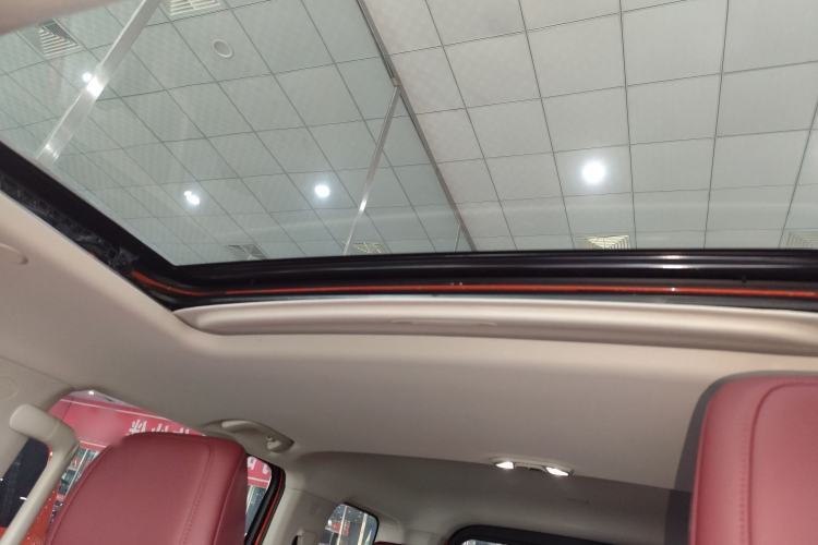 Used Tank 300 2024 2.0T Crosser