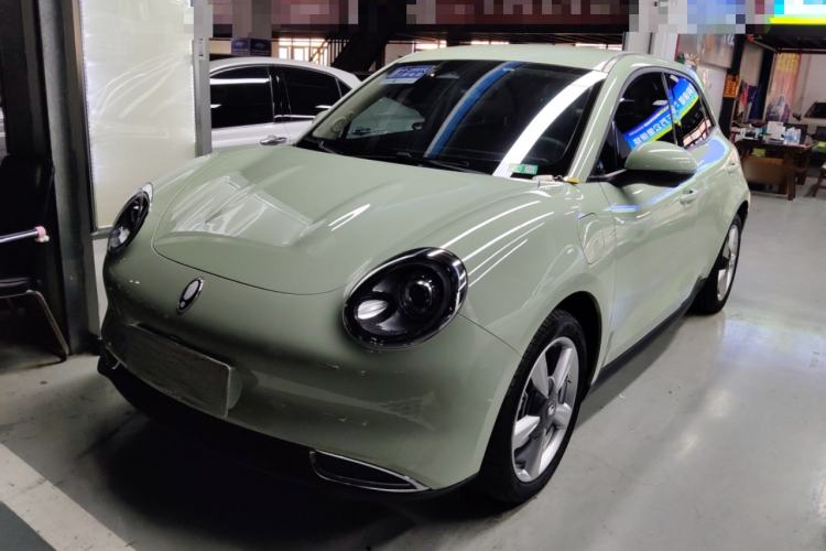 Used ORA Good Cat 2023 401 km Standard Range Luxury Version Lithium Iron Phosphate
