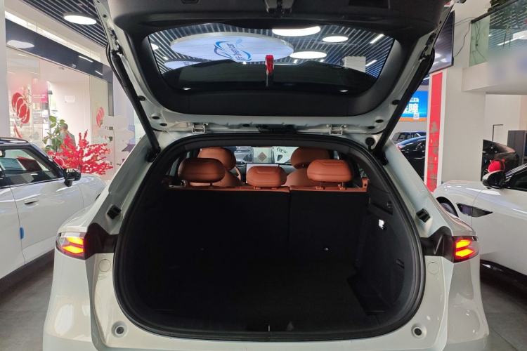 Used  S05 2024 510 Ultra Pure Electric Version